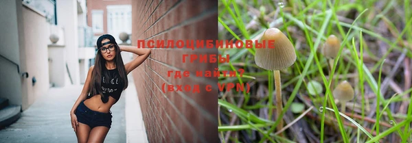мет Армянск