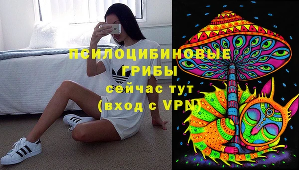 тгк Аркадак