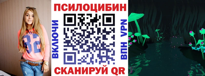 Галлюциногенные грибы Psilocybe  Сорск 