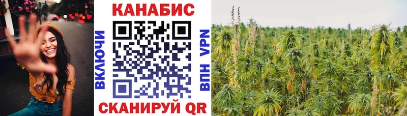 Конопля MAZAR  Сорск 